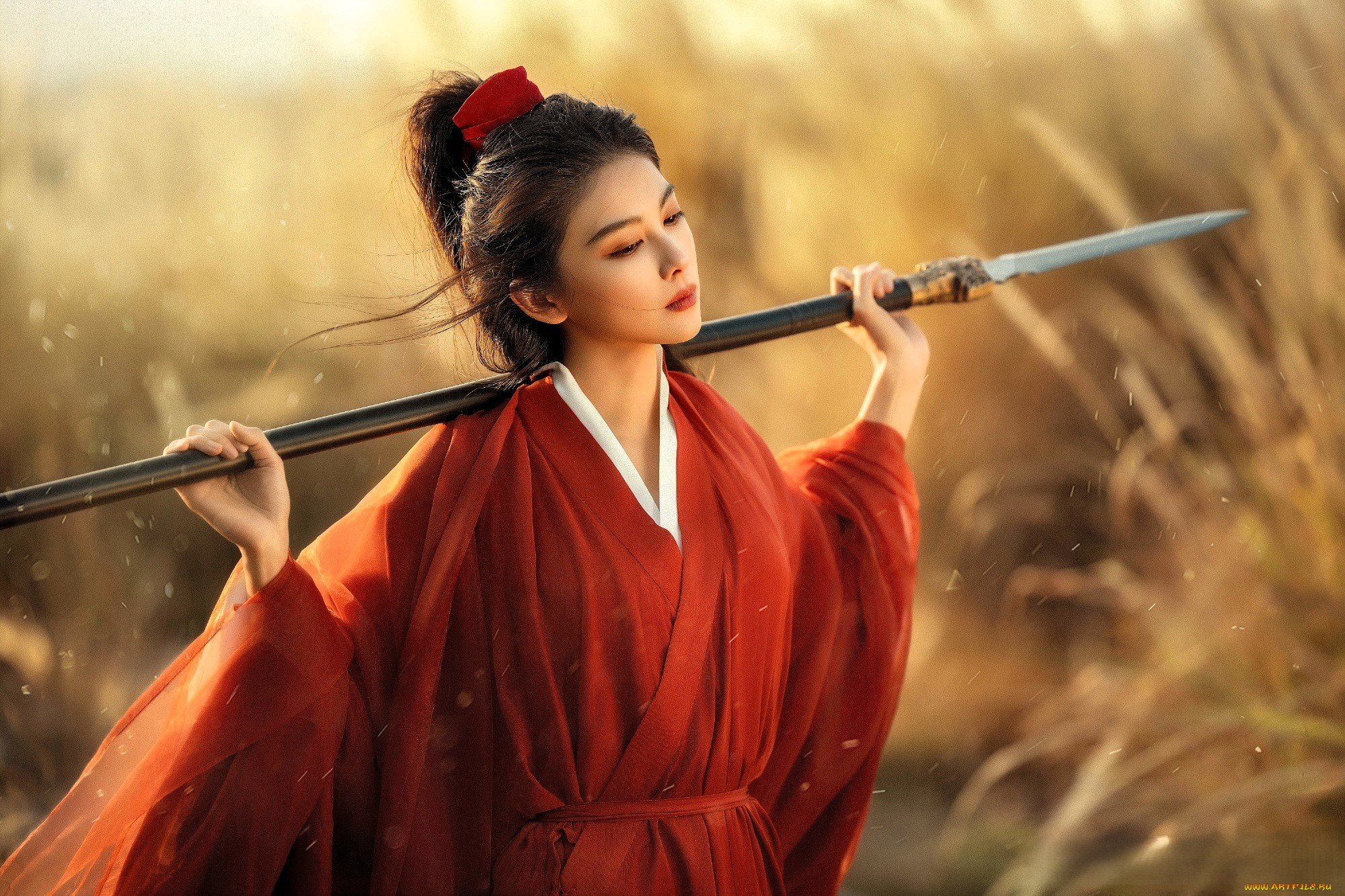 guardians of the dafeng,  , , , , 